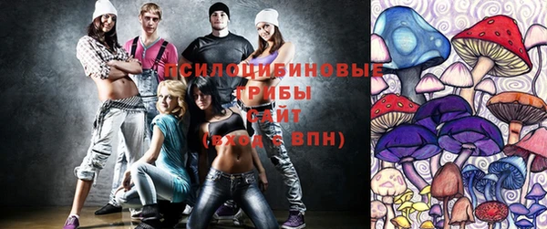амф Абинск