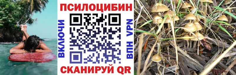 Галлюциногенные грибы прущие грибы  Юрюзань 